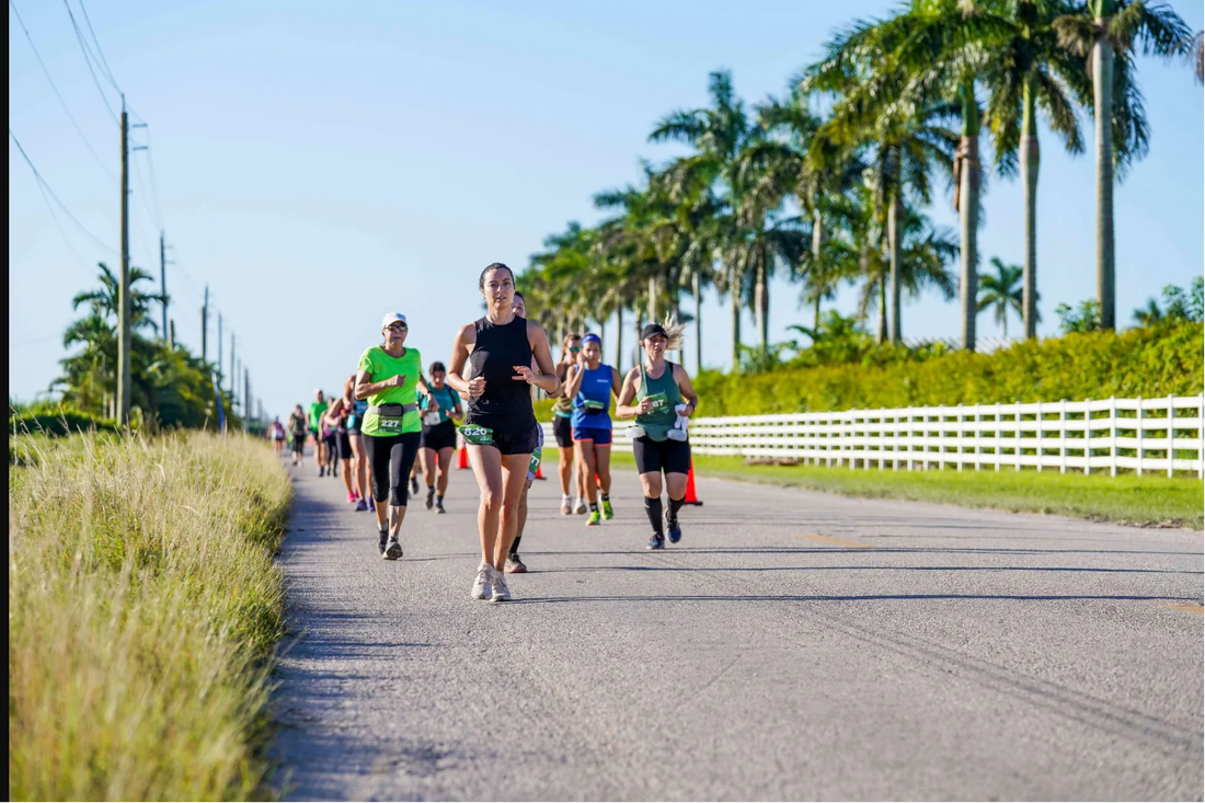 Stay Hydrated on Your Everglades Adventure with WaterMonster's Portable Water Dispenser